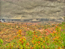 IMG_5976_7_8Enhancer