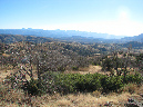 IMG_0519