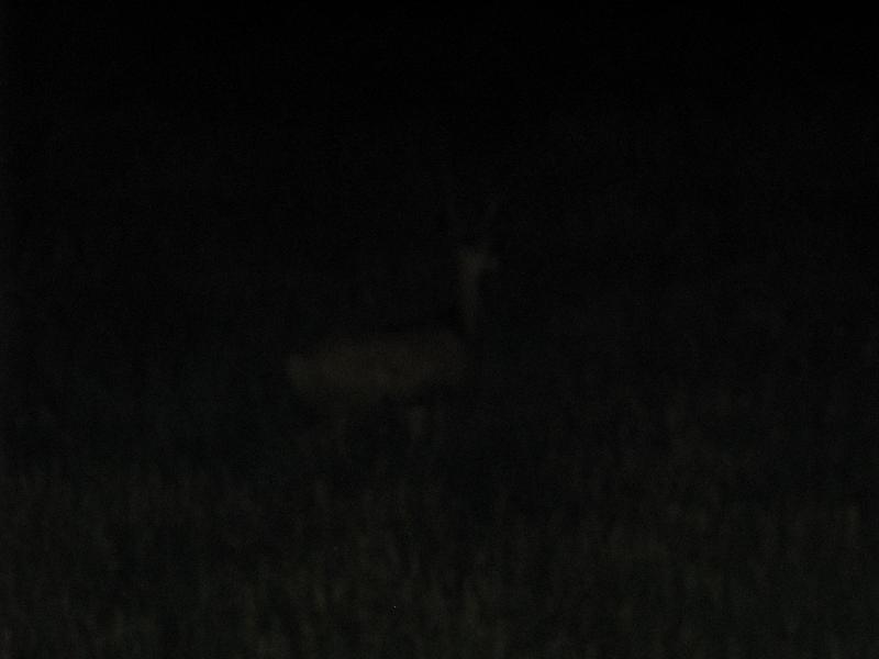 IMG_4905