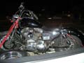 sportster011