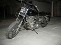 sportster013