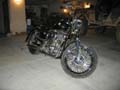 sportster014