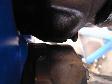 tn_brakeparts24