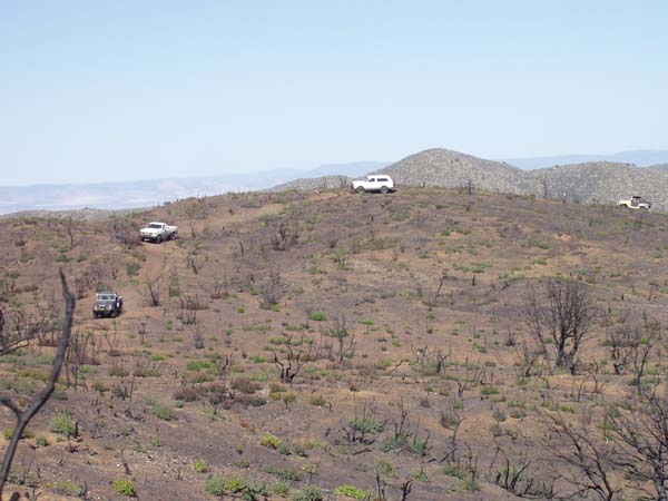 Peck Canyon 067