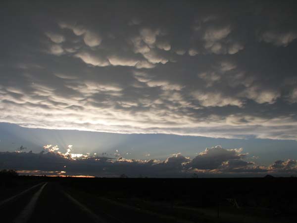 cottonsky06
